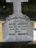 image of grave number 756515